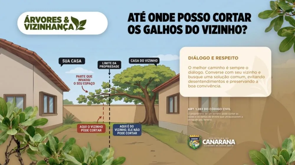 Prefeitura de Canarana/MT informa: saiba quando você pode cortar os galhos de árvores do vizinho